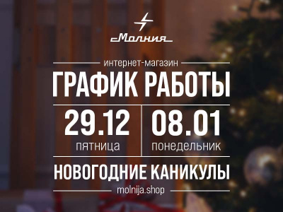 Новогодние каникулы в интернет-магазине «Молния»