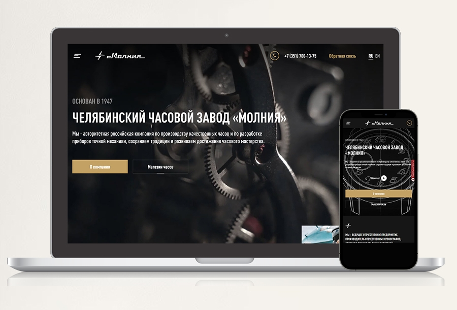 Корпоративный сайт завода Молния Корпоративный сайт завода Молния