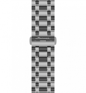 Tribute 1984 22mm 不锈钢金属表带
